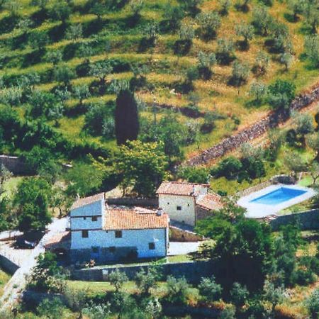 Agriturismo Montereggi Фьезоле Номер фото